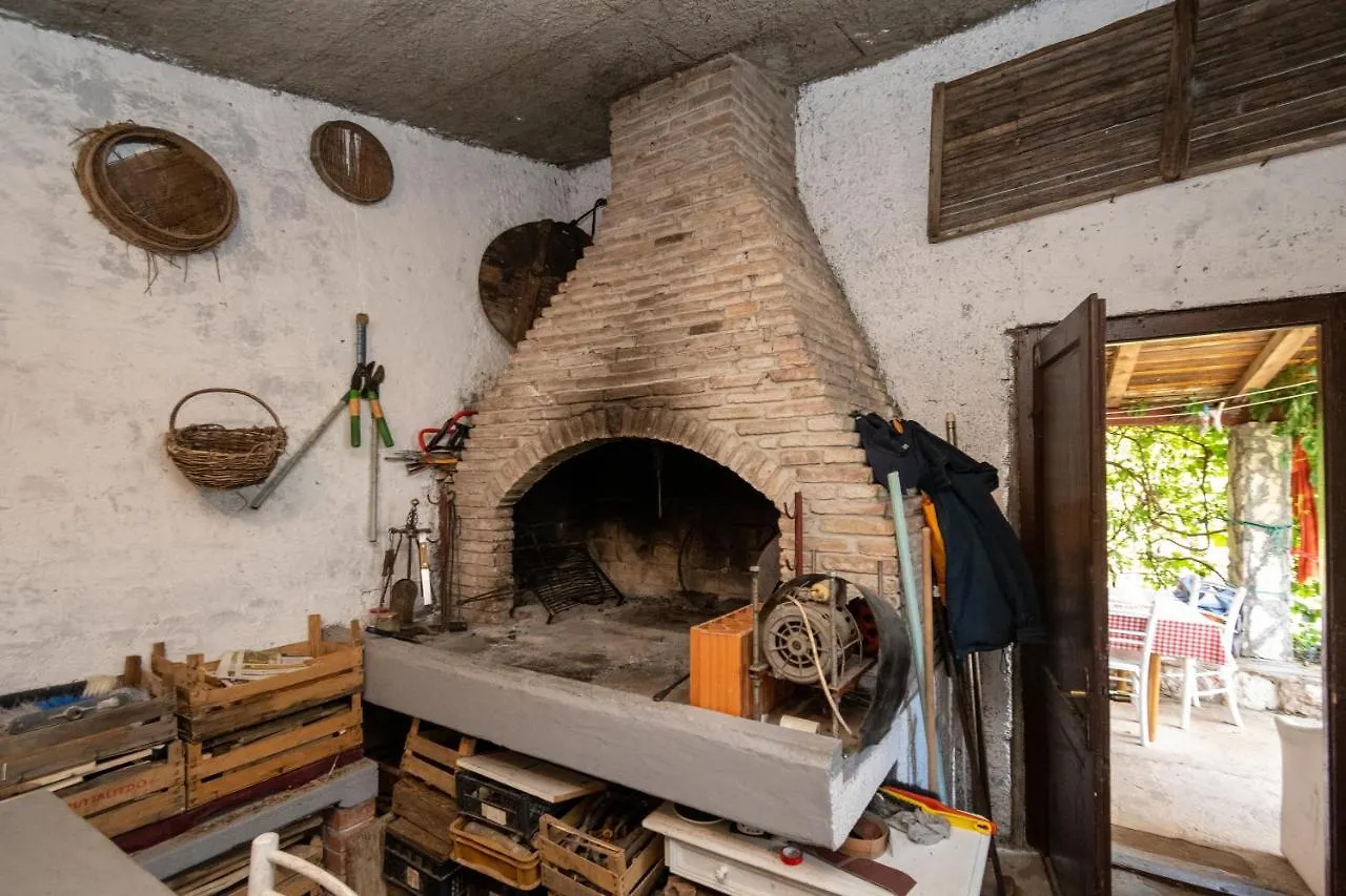 Apartment Preko 8179B