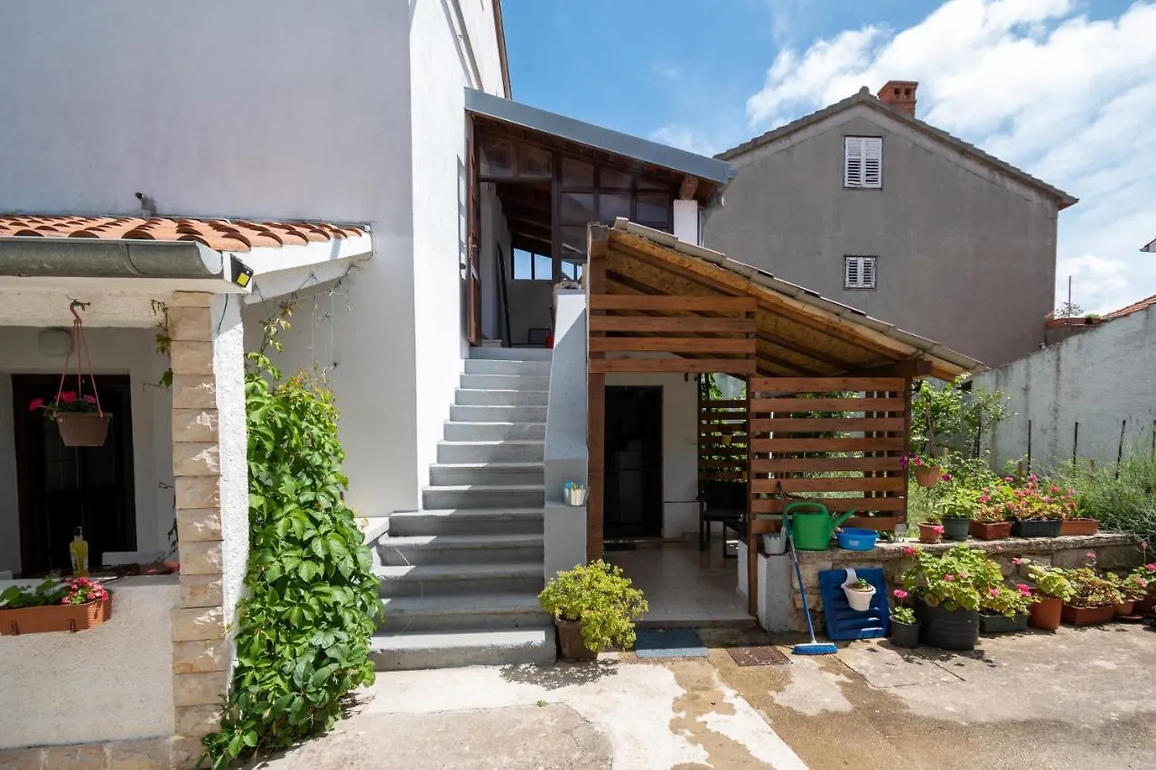 Apartment Preko 8179B